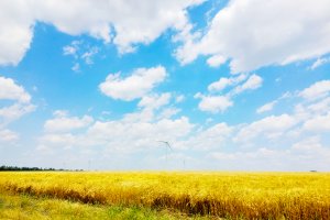 Вітрова енергія 4